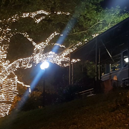 Botucatu Luz terá iluminação especial de Natal em 18 pontos da Cidade